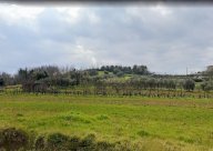 vendita terreno residenziale Casciana Terme Lari
