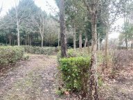 vendita terreno agricolo Siena