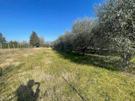 vendita terreno agricolo Capannori
