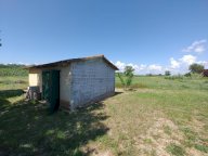 vendita terreno agricolo Collesalvetti