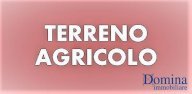 vendita terreno agricolo Massa