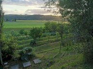 vendita terreno agricolo Poggibonsi