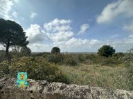 vendita terreno residenziale Parabita