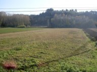 vendita terreno agricolo San Miniato