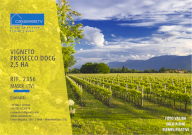 Vendita Terreno Agricolo Maser