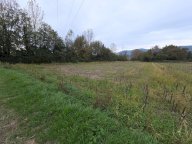 vendita terreno agricolo Capannori