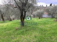vendita terreno agricolo Buggiano