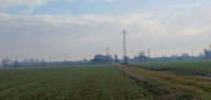 Vendita Terreno Agricolo Povegliano Veronese