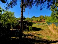vendita terreno agricolo Poggibonsi