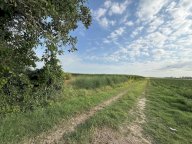 V Terreno agricolo Molinella