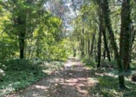 Vendita Terreno Agricolo Somma Lombardo