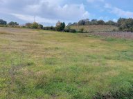 V Terreno agricolo Imola