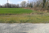 Vendita Terreno Agricolo Quarto d'Altino