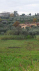 Vendita Terreno Edificabile Velletri