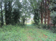 Vendita Terreno Edificabile Pesaro