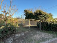 vendita terreno agricolo Campiglia Marittima