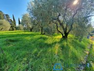 vendita terreno residenziale Lamporecchio