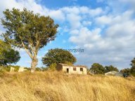 vendita terreno agricolo Roccalbegna