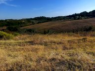 V Terreno agricolo Castel Bolognese