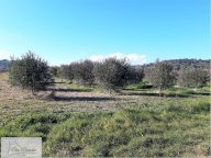 Vendita Terreno Agricolo Capoliveri