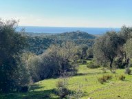 vendita terreno agricolo Piombino