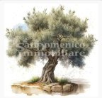 vendita terreno agricolo Calci