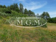 vendita terreno agricolo Palaia