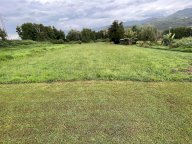 vendita terreno agricolo Montignoso