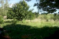 vendita terreno agricolo San Miniato