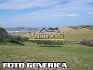 vendita terreno agricolo Cascina