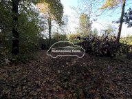 vendita terreno residenziale Capannori