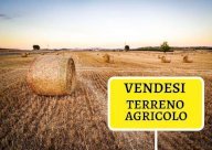 vendita terreno agricolo Cascina