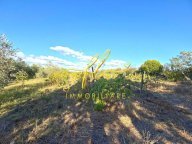 vendita terreno agricolo Cecina