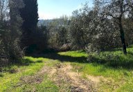 vendita terreno agricolo Empoli
