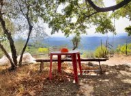 vendita terreno agricolo Murlo