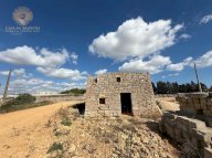 vendita terreno agricolo Alessano