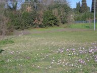 vendita terreno residenziale Fucecchio