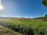 vendita terreno agricolo Castelfranco di Sotto
