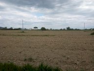vendita terreno agricolo Cascina