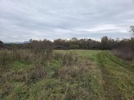 vendita terreno agricolo Castelfranco di Sotto