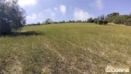 Vendita Terreno Agricolo Ancona