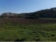 vendita terreno agricolo Bientina