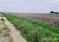 vendita terreno agricolo Calcinaia