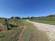 Vendita Terreno Edificabile Cividale del Friuli