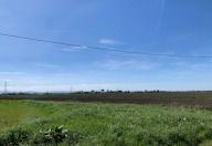 Vendita Terreno Agricolo Ravenna