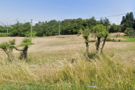 vendita terreno residenziale Fucecchio