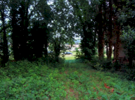 Vendita Terreno Edificabile Pesaro