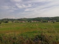 vendita terreno agricolo Montaione