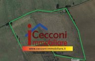 vendita terreno agricolo Vinci