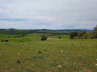vendita terreno agricolo Manciano